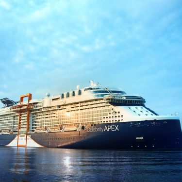 Celebrity Apex Aerial view