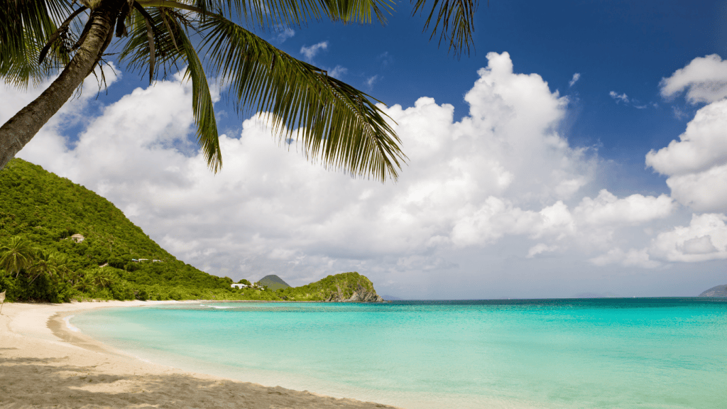 tortola smugglers cove